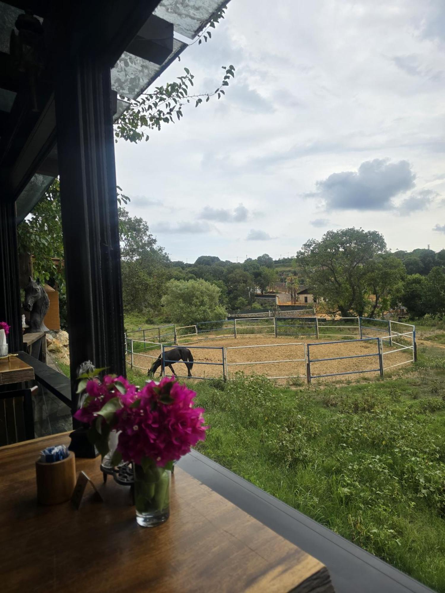 Mavi At Hotel Blue Horse Gumusdere Luaran gambar